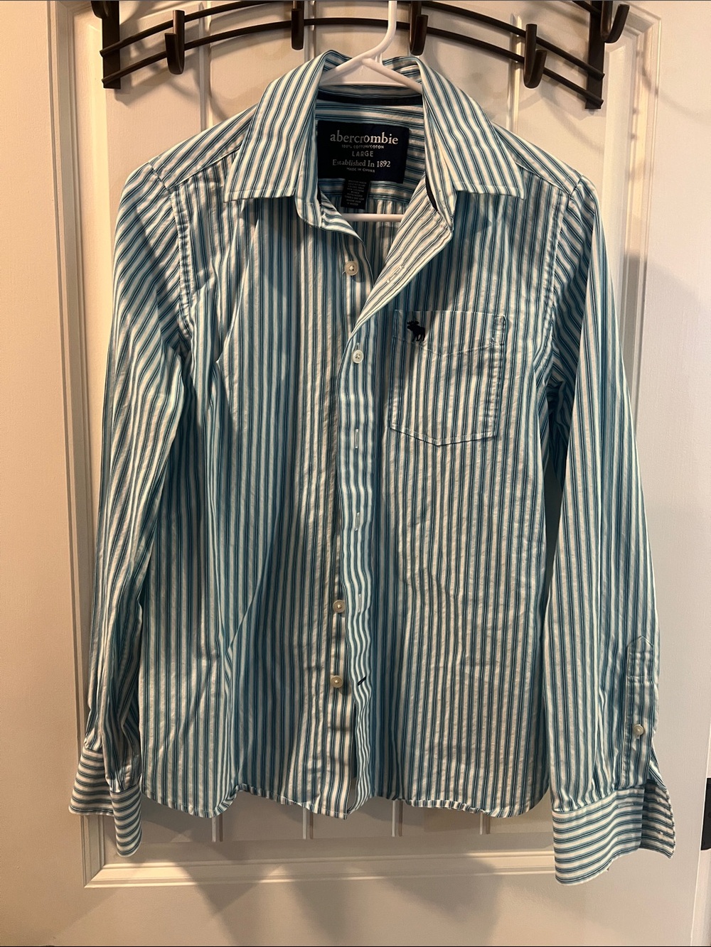 Abercrombie & Fitch Teal and White Vertical Stripe Dress Shirt